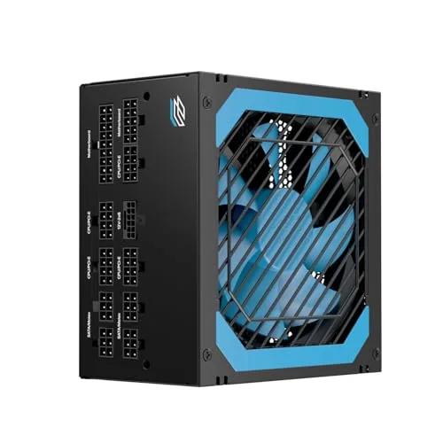 Einarex Cybenetics Gold Nexus L1 1000W full modulaire - vue 4