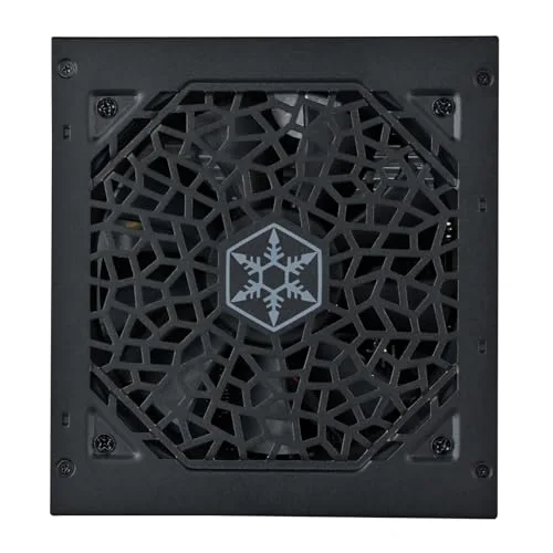 Silverstone Triton 650Rz 650W modulaire - vue 6
