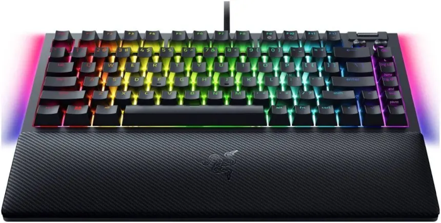 Razer BlackWidow V4 75% - vue 4