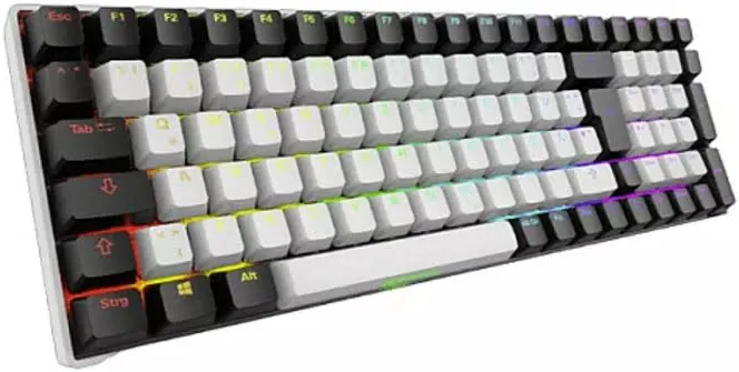 Sharkoon SKILLER SGK50 S2 RGB - vue 1