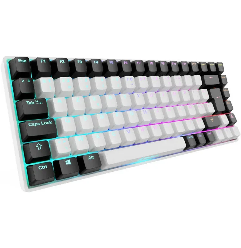 Sharkoon SKILLER SGK50 S3 RGB - vue 1