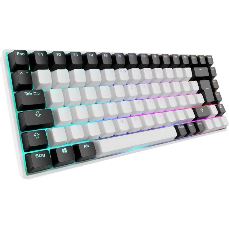 Sharkoon SKILLER SGK50 S3 RGB - vue 1