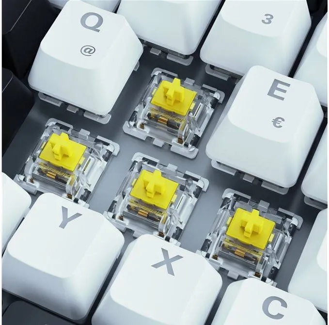 Sharkoon SKILLER SGK50 S3 RGB - vue 3