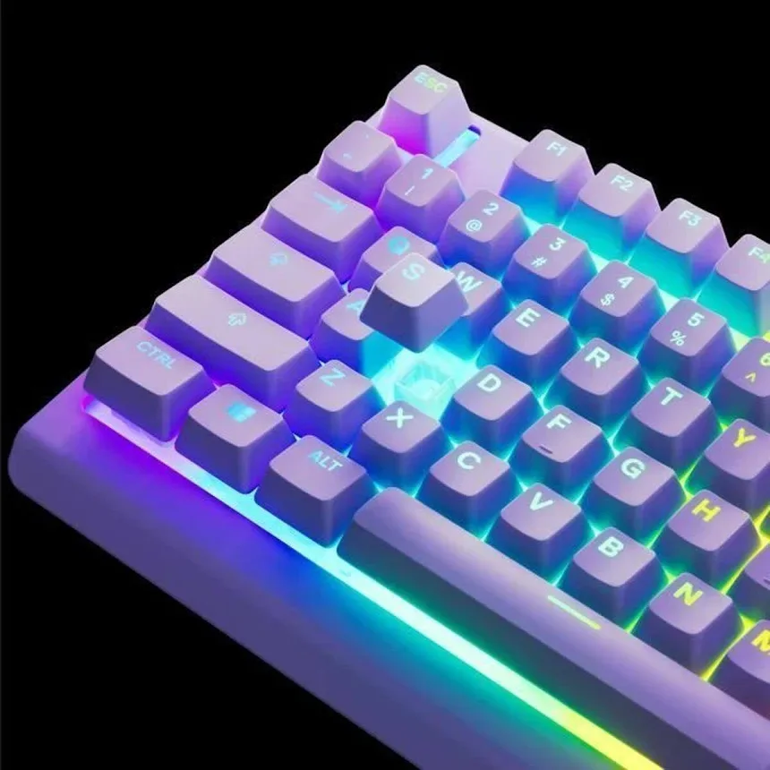 SteelSeries Apex 3 TKL Lavande - vue 5
