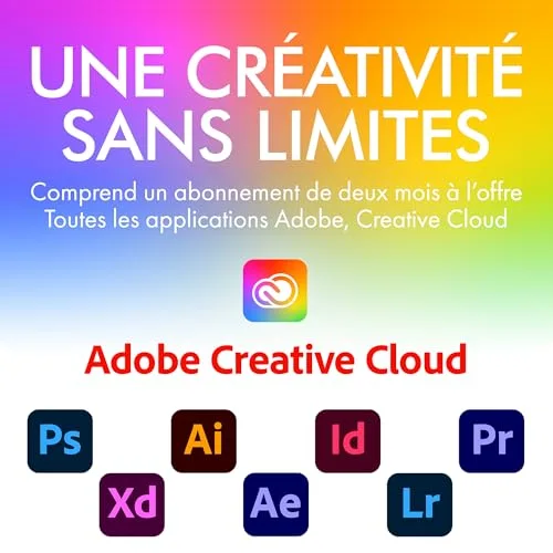 LaCie d2 Professional 4 To - vue 6
