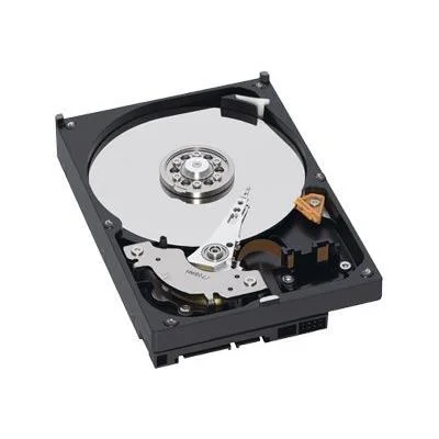 Disque dur Western Digital WD AV WD2500AVJS 250 Go