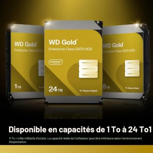 Western Digital Gold WD4004FRYZ 4 To - vue 4