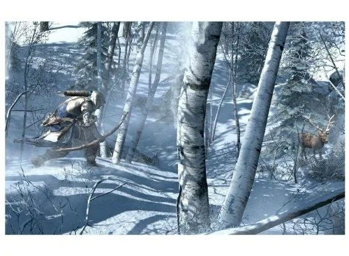 Assassins Creed 3 Jeu Wii U - vue 5