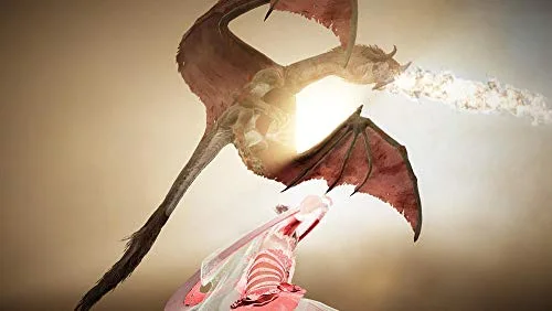Black Desert Prestige Edition PS4 - vue 4