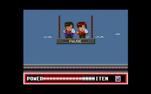 City Hunter Switch - vue 6