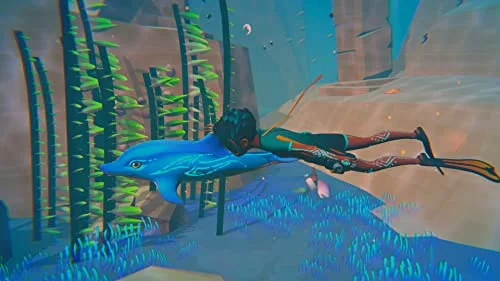 Dolphin Spirit - Mission Océan Switch - vue 2