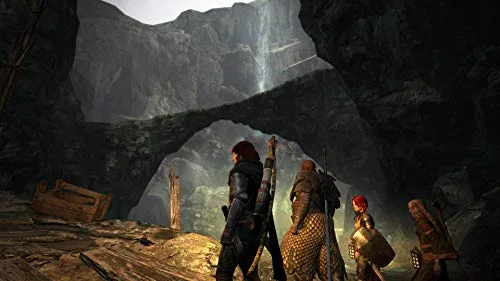 DRAGONS DOGMA: DARK ARISEN - NINTENDO SWITCH - vue 4