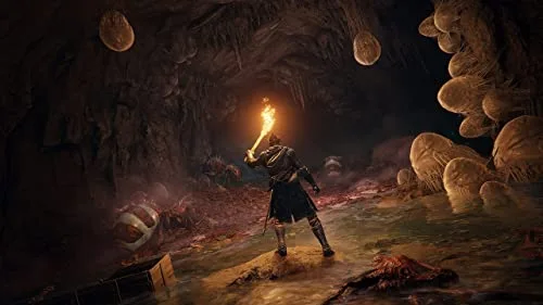 ELDEN RING Launch Edition Jeu PS5 - vue 5