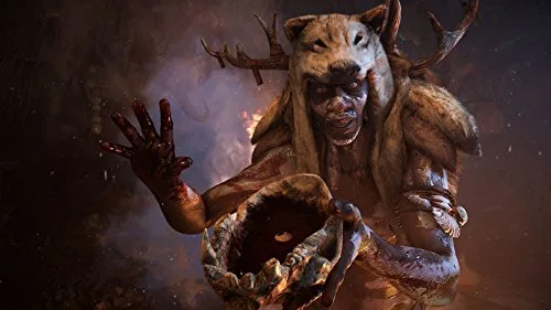 Far Cry Primal Jeu PS4 - vue 9