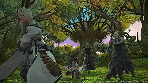 Final Fantasy XIV Shadowbringers PS4 - vue 2