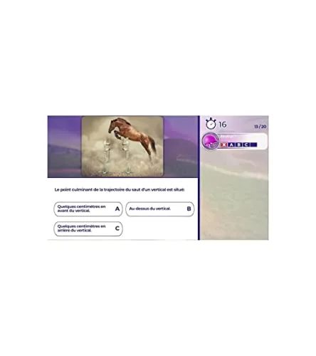 Réussir : Galops 1 à 7 PS4 - vue 4
