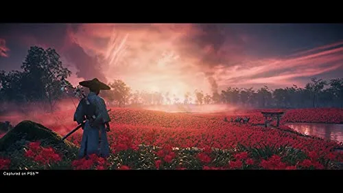 Ghost of Tsushima Director's Cut PS4 - vue 6