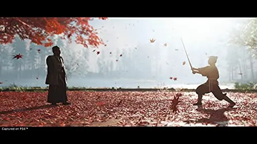 Ghost Of Tsushima Director’s Cut – PS5 - vue 3