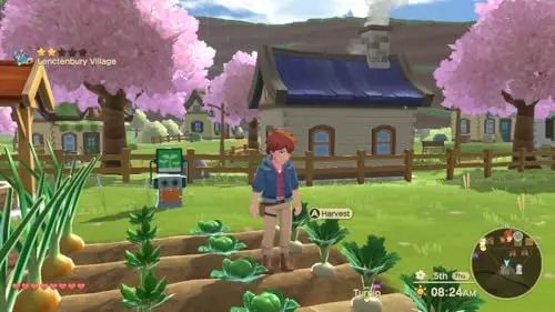 Harvest Moon The Winds of Anthos Complete Edition Switch - vue 9