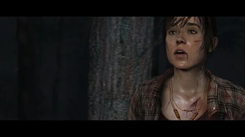 Heavy Rain + Beyond Two Souls Collection Jeu PS4 - vue 3