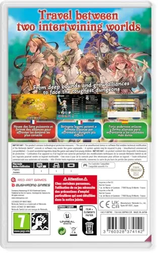 Elrentaros Wanderings Edition Standard Switch - vue 4
