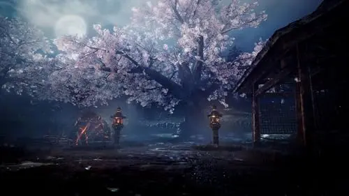 Jeu PS4 - Sony - Nioh 2 - Action - Pouvoirs Yokai - Combat Remanié - vue 7