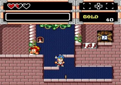 Wonder Boy Collection Switch - vue 8