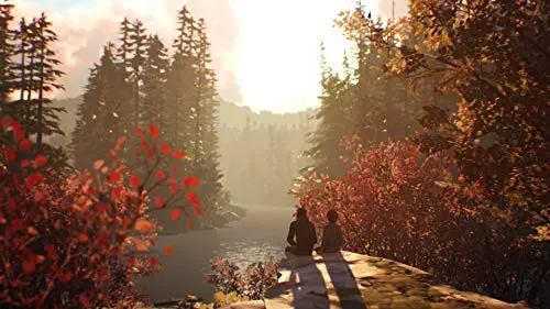 Life is Strange 2 PS4 - vue 4
