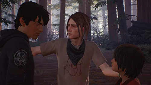 Life is Strange 2 PS4 - vue 9