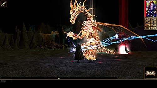 Newerwinter Nights Ehanced Edition Jeu Switch - vue 5