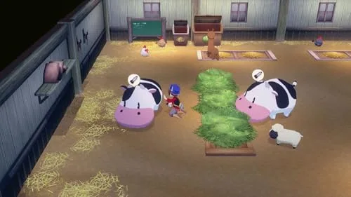Story of Seasons Grand Bazaar Switch - vue 2
