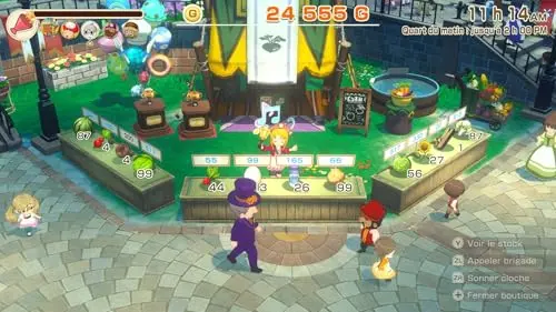 Story of Seasons Grand Bazaar Switch - vue 3