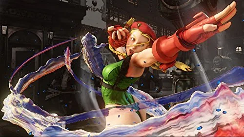 Street Fighter V PS4 - vue 9