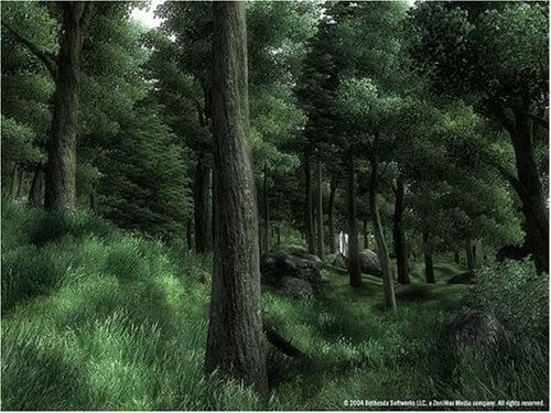 The Elder Scrolls IV: Oblivion Game of the Year Edition PC - vue 2