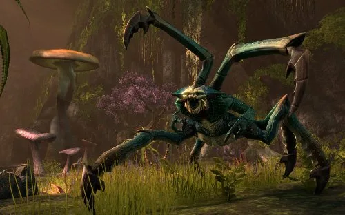 The Elder Scrolls Online Tamriel Jeu PS4 - vue 4