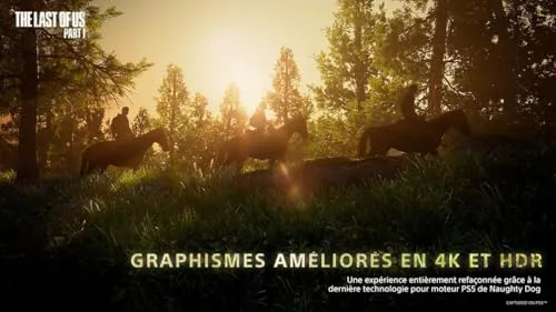 The Last of Us Part I PS5 - vue 4