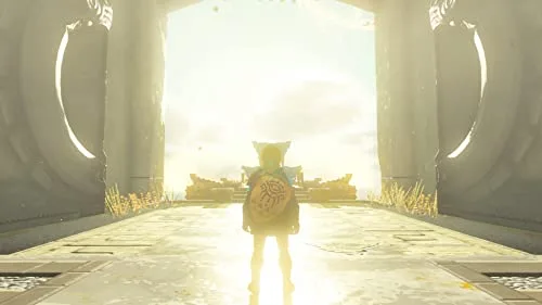 The Legend of Zelda : Tears of the Kingdom - vue 2