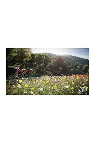 Tour de France 2019 PS4 - vue 2