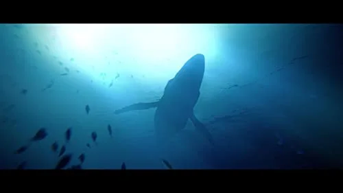 Under the Waves Deluxe Edition PS4 - vue 4