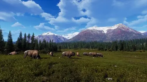 Way of the Hunter: Wild Expeditions Xbox - vue 6