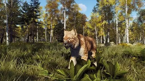 Way of the Hunter: Wild Expeditions Xbox - vue 7