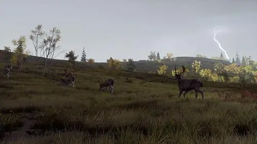 Way of the Hunter: Wild Expeditions Xbox - vue 8