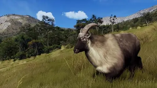 Way of the Hunter: Wild Expeditions Xbox - vue 9