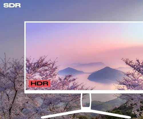 JAPANNEXT JN-IPS315UHDR 31,5" 4K IPS - vue 4