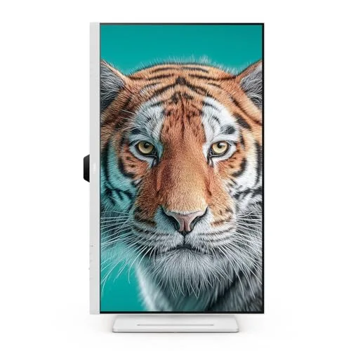 BenQ GW3290QT 31,5" QHD IPS USB-C - vue 3