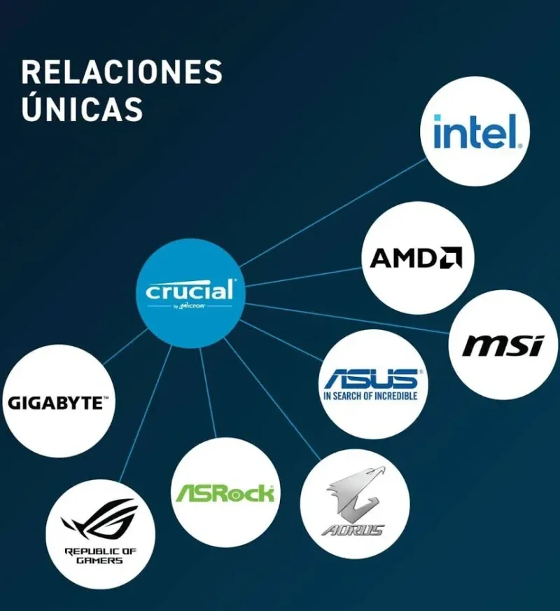 Crucial 32 Go Kit 2x16Go DDR5 4800 MHz - vue 3
