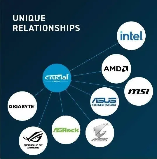 Crucial 32 Go Kit 2x16Go DDR5 5600 MHz - vue 4