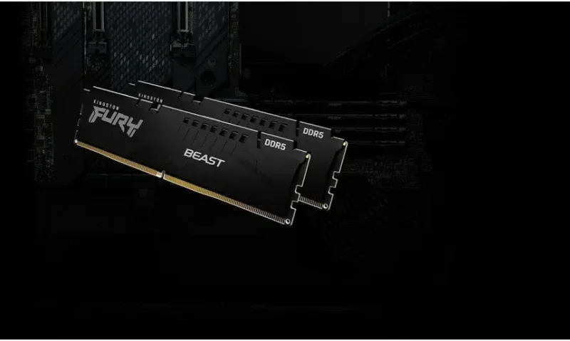 Kingston Fury Beast 16 Go DDR5 5600 MHz - vue 5