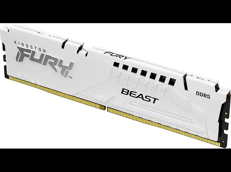 Kingston Fury Beast 16 Go DDR5 5600 MHz