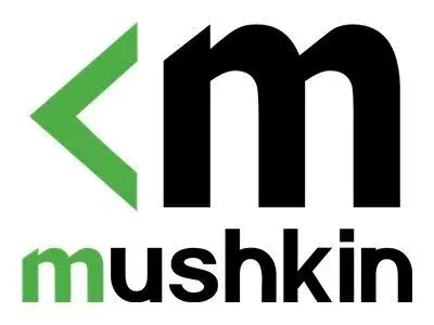 Mushkin 32 Go Kit 2x16Go DDR5 5600 MHz - vue 5